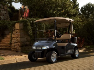 Ezgo RXV Golf Buggie