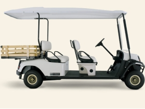 Ezgo Shuttle 4 Buggy with Cargo Box